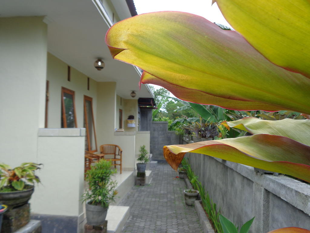 Sintya Homestay Ubud  Exterior photo